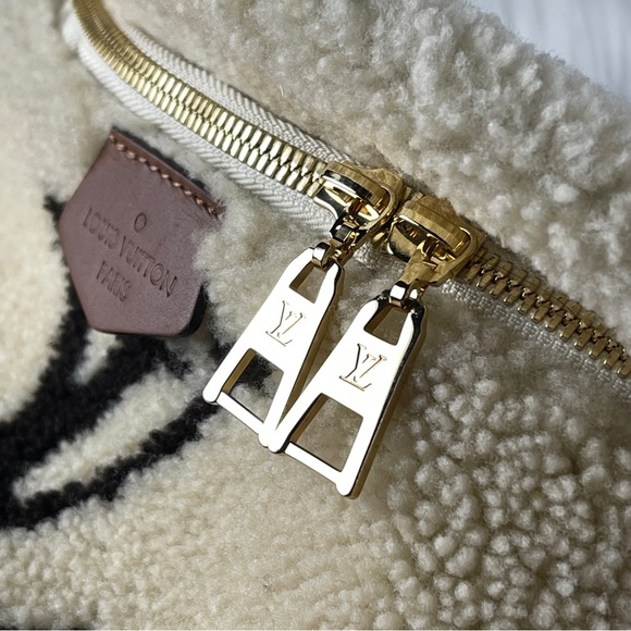 Louis Vuitton Teddy Mono Bumbag - Picture 8 of 14